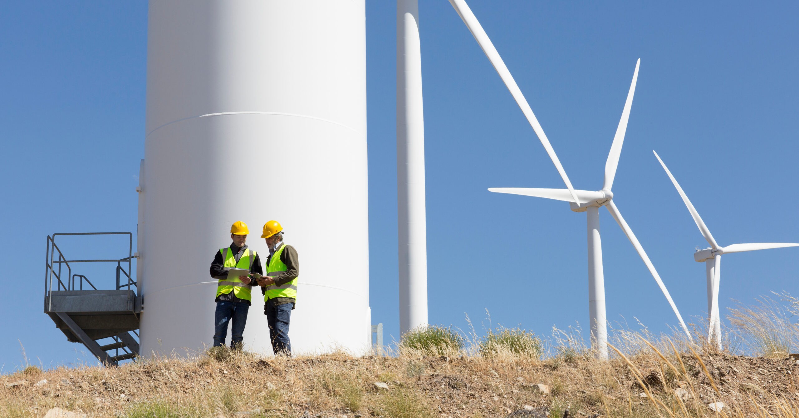 proje danışmanlığı